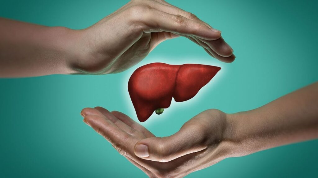 Liver Health