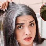 White Hair Tips: తెల్లజుట్టును నల్లగా మార్చే.. బెస్ట్ హెయిర్ మాస్క్ ఇదే..