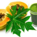 Papaya Leaf Juice Benefits: బొప్పాయి ఆకులతో ఆరోగ్యసిద్ధి… ఇలా ట్రై చేయండి