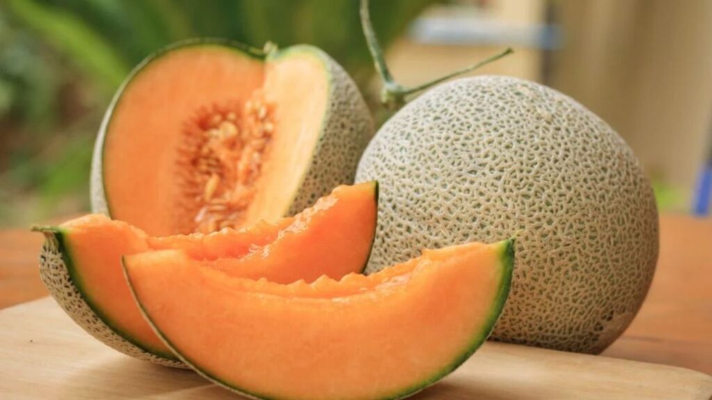Muskmelon