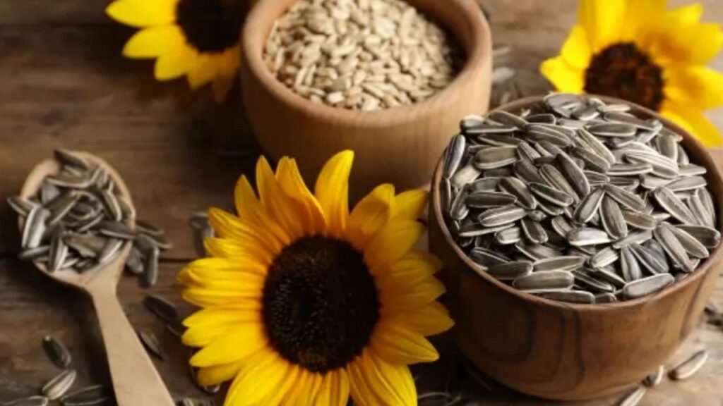 Sunflower seeds Benefits