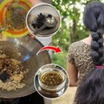 Homemade Hair Oil: పొడవాటి జుట్టు కావాలా.?అయితే ఈ హెయిర్ ఆయిల్ ట్రై చేయండి