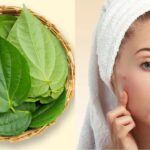 Health Tips:  తమలపాకులతో చర్మ మొటిమలకు చెక్ పెట్టండి..! ఎలా అంటే?
