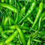 green chilies benefits: ఆరోగ్యంగా ఉండాలంటే రెండు మిర్చిలు చాలు.. బోలెడు బెనిఫిట్స్!