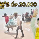 Matsyakara Sevalo: వారికి అకౌంట్లోకి రూ.20,000.. చంద్రబాబు కొత్త పథకం షురూ