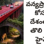 వన్యప్రాణులకు ‘రెడ్ కార్పెట్’.. మూగజీవాల ప్రాణాలు కాపాడే అద్భుత రహదారి! దేశంలోనే తొలిసారిగా మధ్యప్రదేశ్ టైగర్ రిజర్వ్‌లో ప్రయోగం